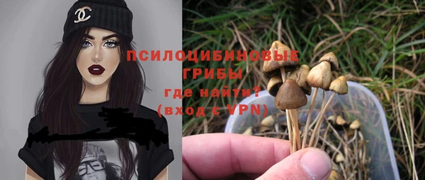 индика Алексеевка