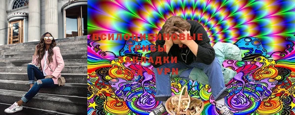 индика Алексеевка