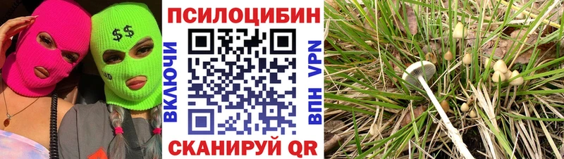 Псилоцибиновые грибы мухоморы сколько стоит Дзержинский